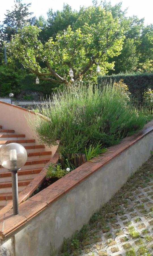 Villa Rosa Caporciano Εξωτερικό φωτογραφία
